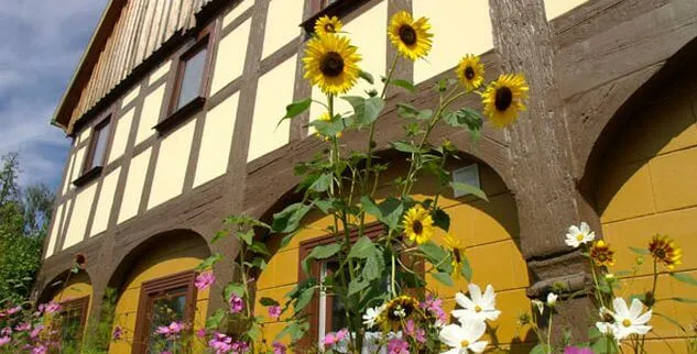 Sonnenblumen vor einem Werkshaus